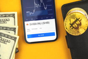 Read more about the article Shiba Inu (SHIB) could drop by around 15% before any bull run