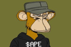 Read more about the article BAYC Votes For “Ape Drops” NFT Marketplace; What’s Next?