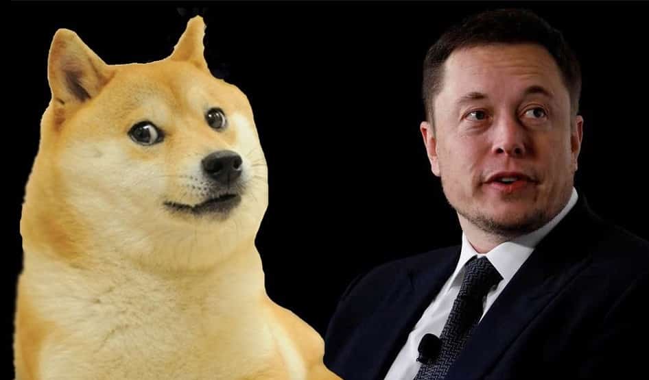 Read more about the article Elon Musk Decides Not to Join the Twitter Board, DOGE Fans Might Have to Wait