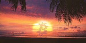 Read more about the article Aloha Crypto! Hawaii Approves Task Force To Regulate Bitcoin And Web3 Technology