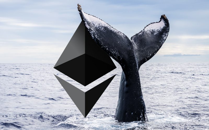 Read more about the article Altcoin Discount: What Ethereum Whales Are Buying Through The Dip