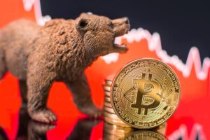 Read more about the article The Worst Bitcoin Bear Markets Ever