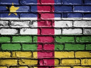 Read more about the article What Did The Francophone Bitcoiners Recommend To The Central African Republic?