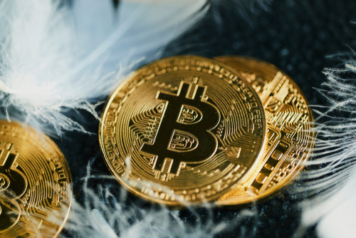 Read more about the article Bitcoin is unlike the other cryptocurrencies, says Klippsten