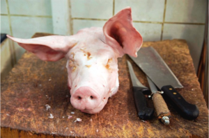 Read more about the article Bitcoin Scam Called ‘Pig Butchering’ Grows Alarmingly Popular