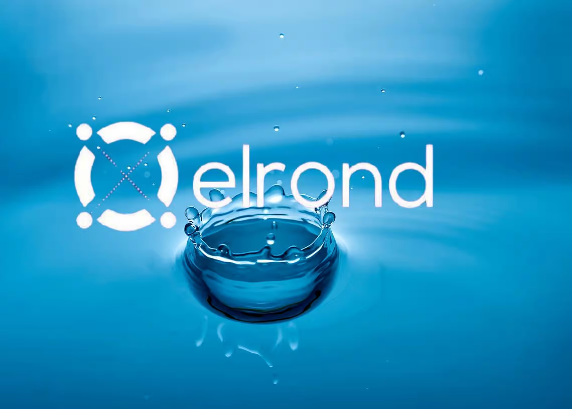 Read more about the article Elrond (EGLD) Builds Bearish Sentiment, Will Price Coil Up To 80 Instead?