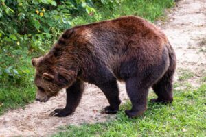 Read more about the article Bitcoin Bearish Signal: Miners Continue To Dump