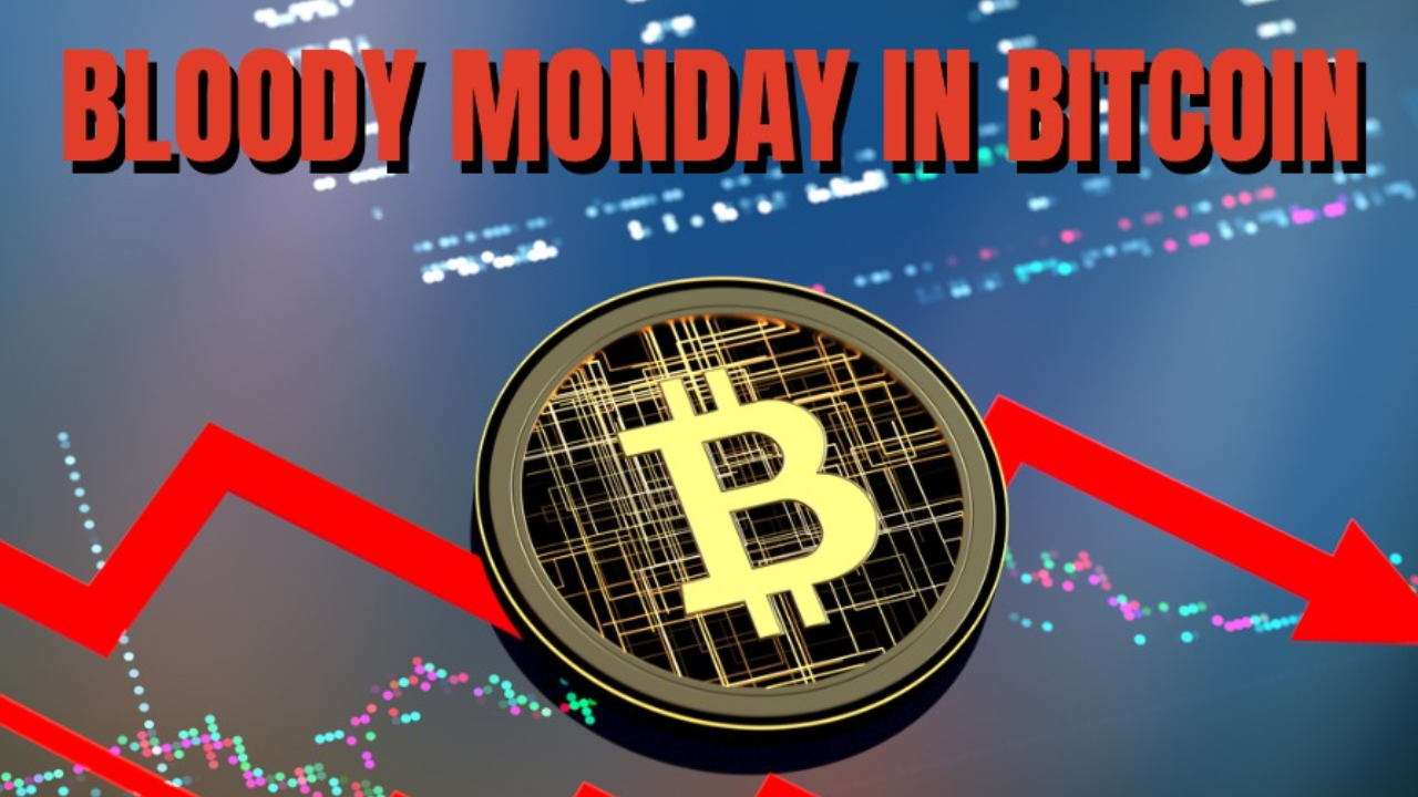 Read more about the article Bitcoin Bloody Monday Leads To Reversal Hammer