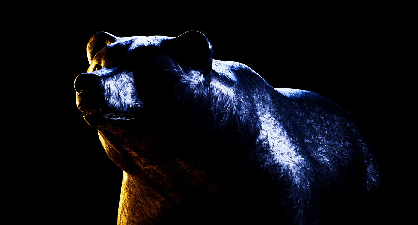 You are currently viewing Bitcoin Bear Market Corrective Patterns Examined