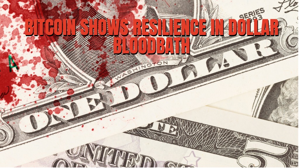 Read more about the article Bitcoin Price Shows Resilience In Dollar-Driven Bloodbath