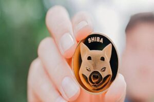 Read more about the article Shytoshi Kusama Gives This Update On SHIB Burn