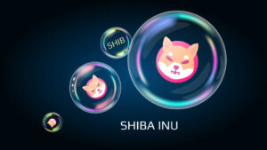 Read more about the article Shiba Inu (SHIB/USD) slides 9% to find support. What are the odds of a reversal?