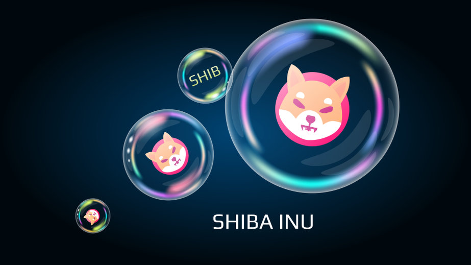 You are currently viewing Shiba Inu (SHIB/USD) slides 9% to find support. What are the odds of a reversal?