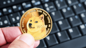 Read more about the article Dogecoin Gets Utility through Dogechain for Building Web3 Dapps