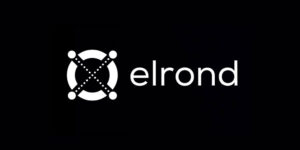 Read more about the article Elrond (EGLD) Will Rally To $80, But this Must First Happen