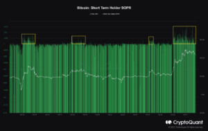 Read more about the article Bitcoin Declines Slightly As Short-Term Holders Take Profits