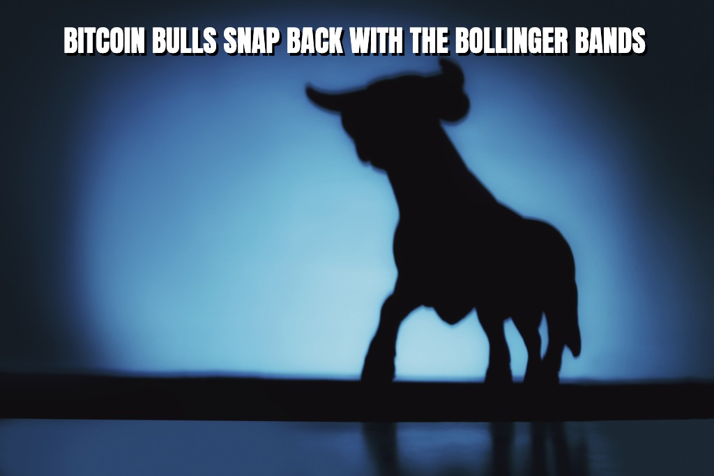 Read more about the article Bitcoin Bulls Snap Back With The Bollinger Bands