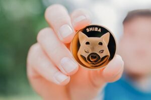 Read more about the article Shiba Inu Burn Rate Reaches A New Low, Will It Never Reach $1?