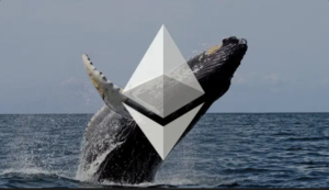 Read more about the article Ethereum Whales Front Run Major Move, On-Chain Data Suggests