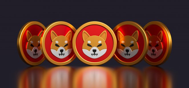 Read more about the article Shiba Inu Struggle Continues As Altcoins Rally With Over 70% Gain; Here Is Why