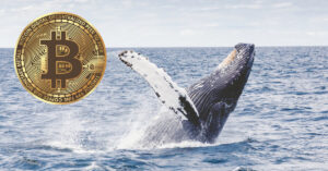 Read more about the article FTX Contagion Creates Fear Among Whales And Old Hands