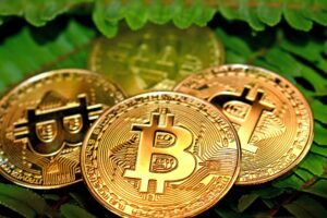 Read more about the article Bitcoin Price At Risk Of Further Squeeze, BTC Bulls Defend $20K