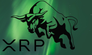 Read more about the article Whale Accumulation Paints Bullish Picture For XRP