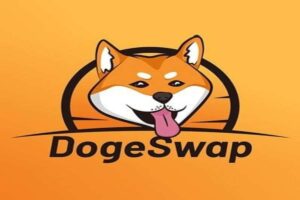 Read more about the article Dogeswap Price skyrocket 60%; Will Dogeswap breach $5