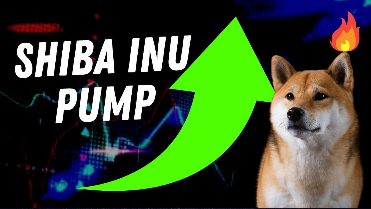 Read more about the article Shiba Inu (SHIB) Price To Surge After Hitting New Milestone?