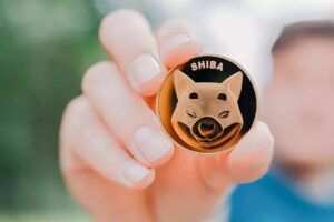 Read more about the article Will Price of Shiba Inu Coin (SHIB) Hit An All Time Low In 2023?