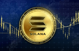 Read more about the article Solana’s Dramatic Price Fall Makes Investors Question Its Future