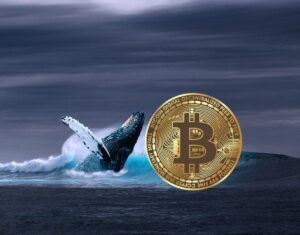 Read more about the article Bitcoin Whales Go On 20,000 BTC Buying Spree