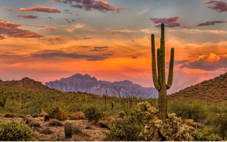 Read more about the article Arizona Senator Pushes Bill To Make Crypto Legal Form Of Currency