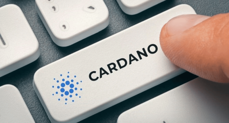 Read more about the article Cardano Whales Return to Accumulation Pushing ADA Price Up