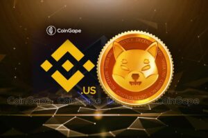 Read more about the article Will Shiba Inu Price Surge Over This Binance Update?