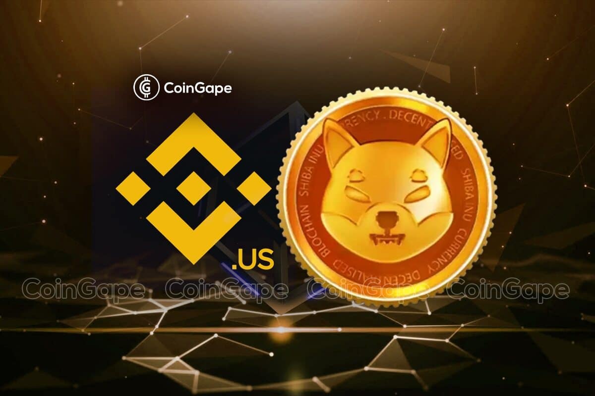 You are currently viewing Will Shiba Inu Price Surge Over This Binance Update?