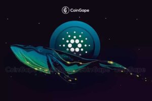 Read more about the article Cardano Could See another 36% Price Gains With Whale Activity