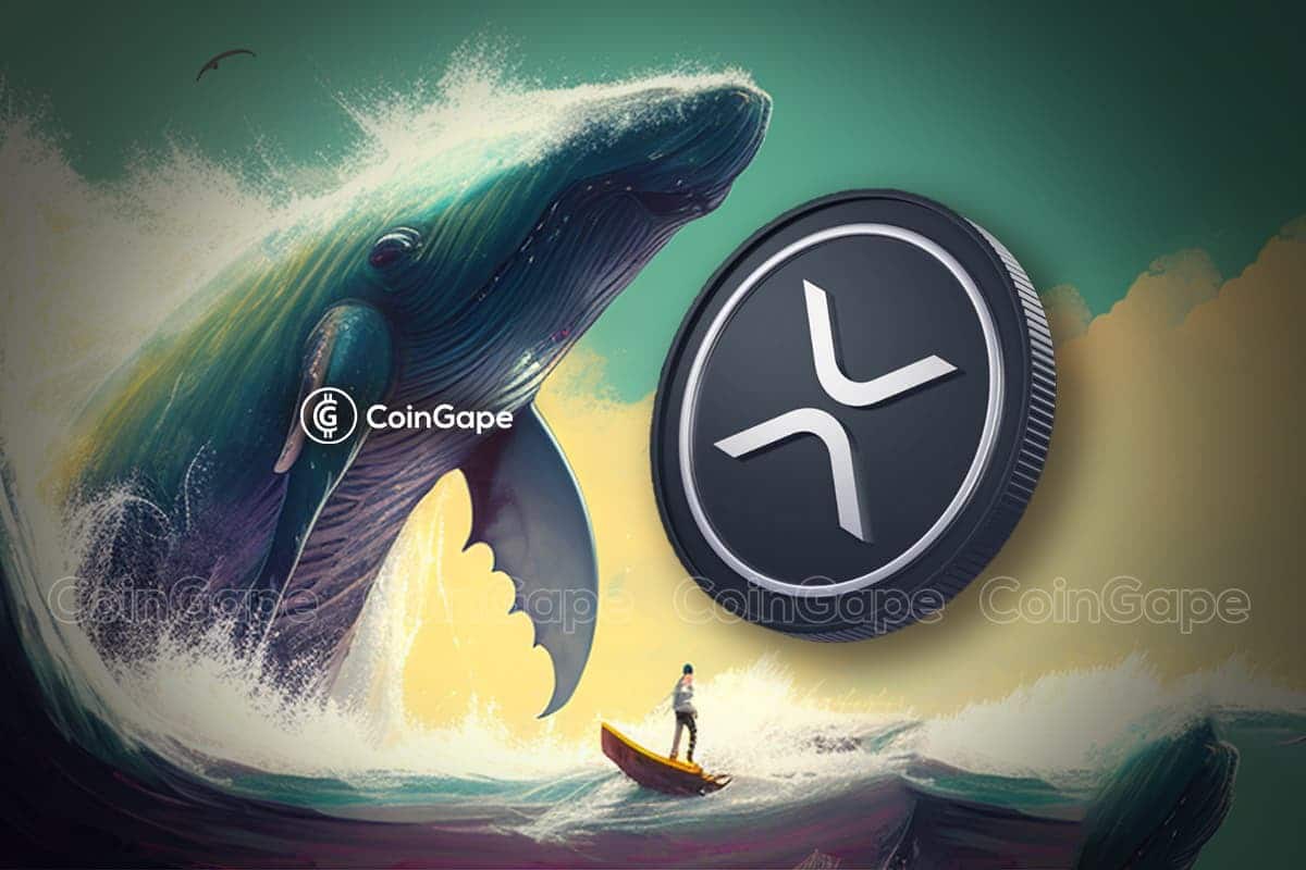 Read more about the article Whale Adding More XRP Amid Price Dump; Big Move Coming Ahead?