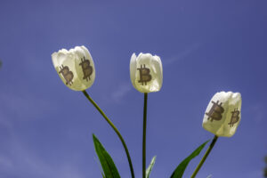 Read more about the article Celebrating The Tulip Mania Anniversary With Bitcoin & Crypto