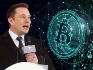 Read more about the article XRP Lawyer Dismisses Elon Musk View On Bitcoin