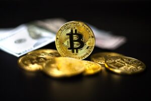 Read more about the article Retail investors will prefer Bitcoin over the dollar if US defaults: survey