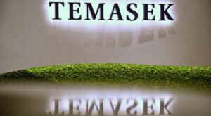 Read more about the article Singapore State-Owned Temasek Denies $10M Investment in Array