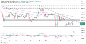 Read more about the article Bitcoin Price Embarks On Its Ascent to $30,000 As Annual US Inflation Softens to 4.9%