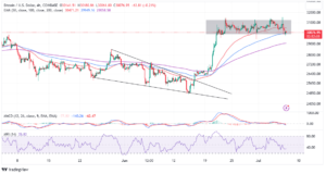 Read more about the article Bitcoin Price Is Falling While Whales Grow – What Does It Mean for BTC at $30k?