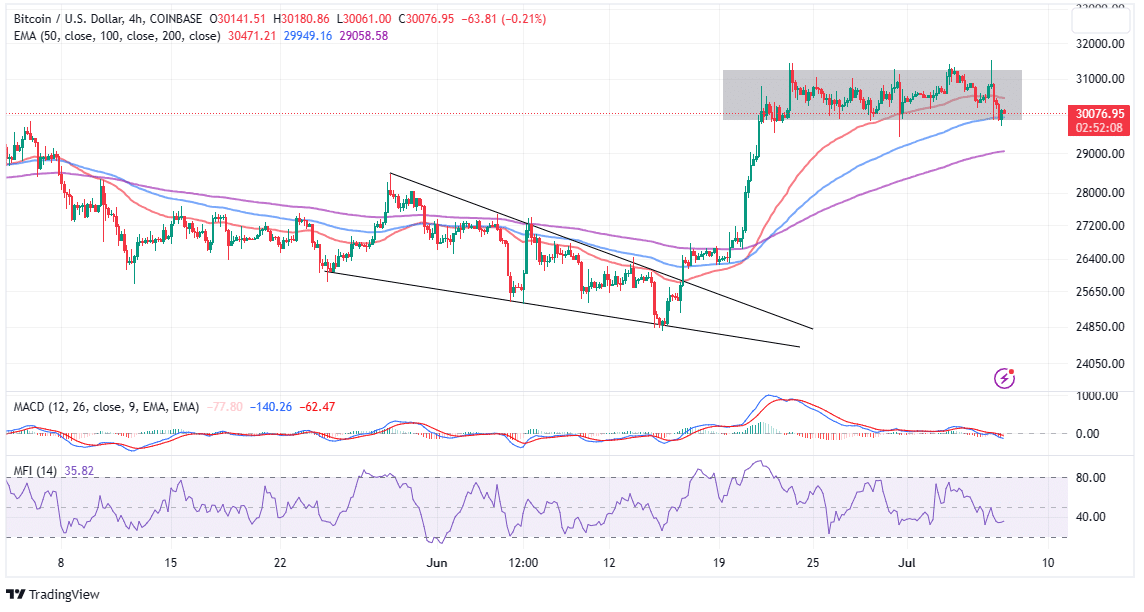 Read more about the article Bitcoin Price Is Falling While Whales Grow – What Does It Mean for BTC at $30k?