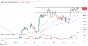 Read more about the article Bitcoin Price Pushes Past $31k as US Judge Rules XRP Not A Security – Rally to $38k Impending?