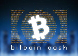 Read more about the article Bitcoin Cash Price Could Restart Increase To $250 If It Breaks This Resistance