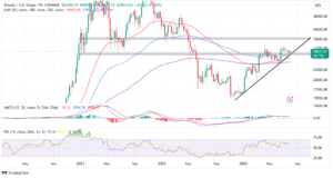 Read more about the article An Opportunity or Bull Trap?