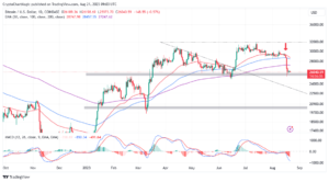 Read more about the article BTC Price Support At $26, The Last Kick Of A Dying Horse?