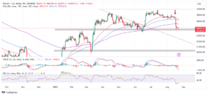 Read more about the article BTC Price Top Heavy Condition Risk More Violent Downtrends 